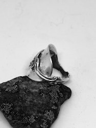 Ring 76