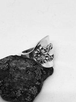 Ring 79