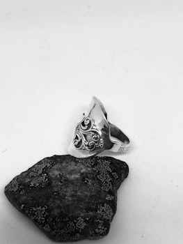 Ring 81