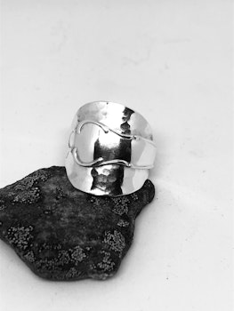 Ring 91