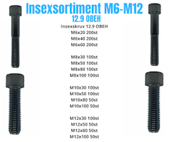 Insexsortiment M6-M12 12.9 Obeh 45KG!