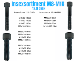 Insexsortiment M8-M16 12.9 Obeh 55KG!