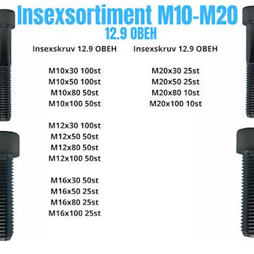 Insexsortiment M10-M20 12.9 Obeh 55KG!