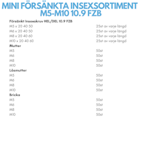 Mini Försänkt Insexskruv M5-M10 FZB