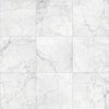 ANTICA CARRARA 80x80