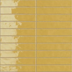 Kakel Vernici Mustard Mayo Gloss 5X25