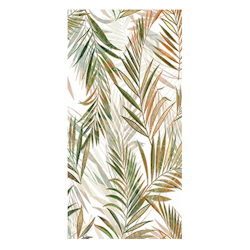 IMAGINE ARECA 60x120
