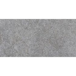 SHELLSTONE GREY RECT 29,9x60