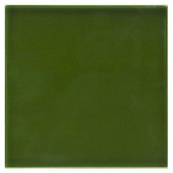 CAPTURE GREEN GLOSS 15x15