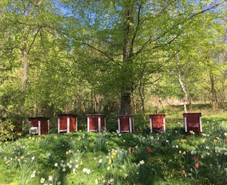 Andelsbiodling-Bosjökloster 2024