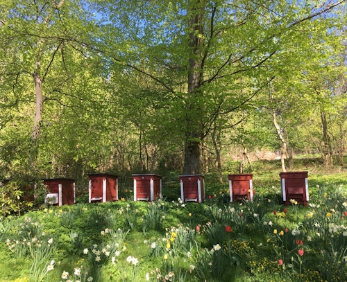 Andelsbiodling-Bosjökloster 2025