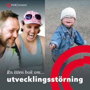 En liten bok om utvecklingsstörning (intellektuell funktionsnedsättning)