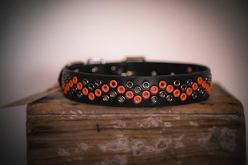 Tjirák - fast hundhalsband i läder