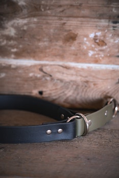 Hundhalsband halvstryp i två färger, Biothane®