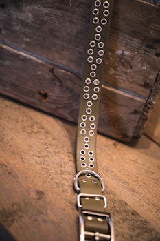 Labba - fast hundhalsband i Biothane®