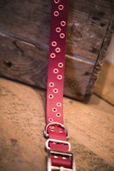 Nutti - fast hundhalsband i Biothane®
