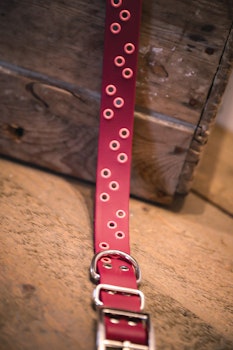 Nutti - fast hundhalsband i Biothane®