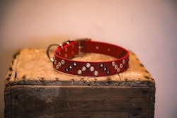 Sunna - fast hundhalsband i Biothane®