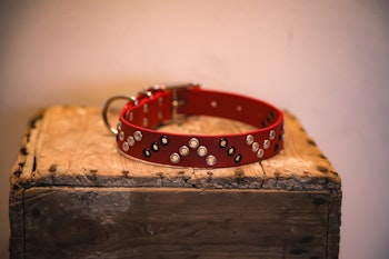 Sunna - fast hundhalsband i Biothane®