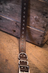 Svonni - fast hundhalsband i Biothane®