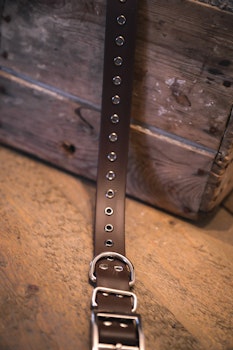 Svonni - fast hundhalsband i Biothane®