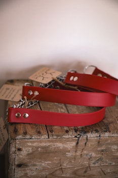 Hundhalsband halvstryp med kedja, i Biothane®