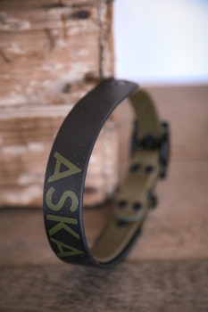 Fast hundhalsband i två bredder med två färger, i Biothane®