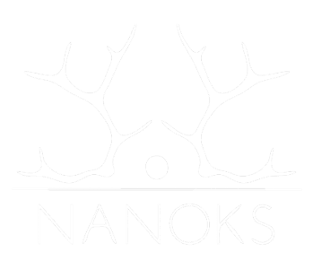Nanoks