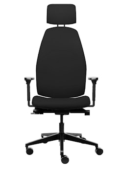 Ergositter Myback (ersätter Ergositter X2 Backhang)