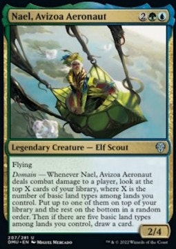 Nael, Avizoa Aeronaut