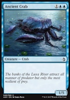 Ancient Crab