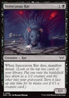 Innocuous Rat