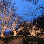 Julbelysning utomhus LED 40-95 meter med upp till 1900 varmvita lampor