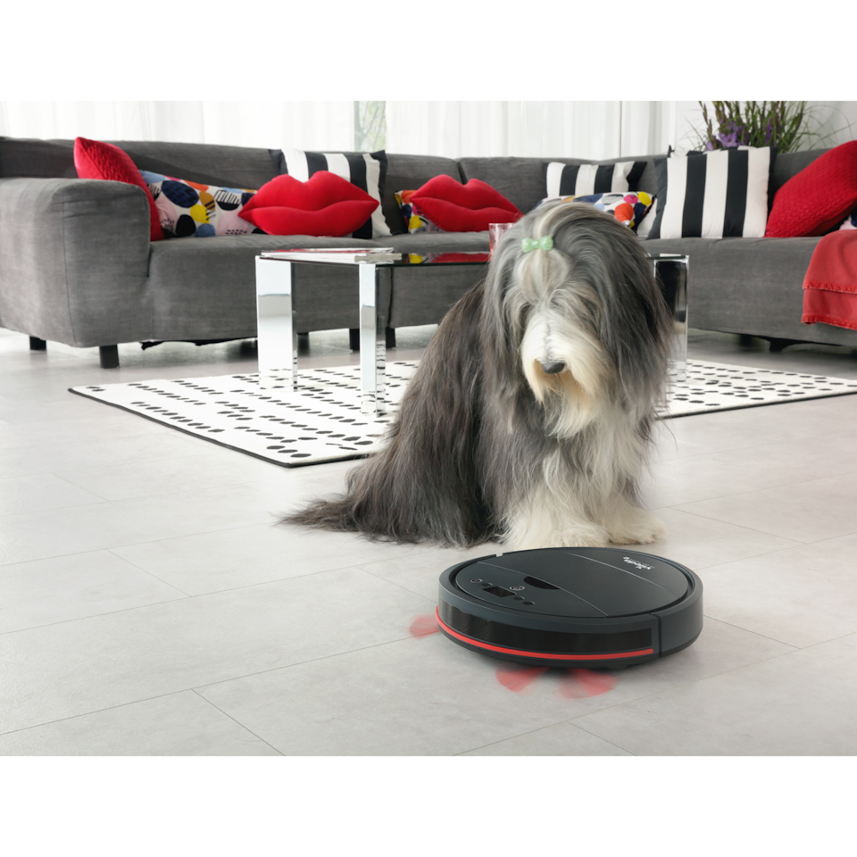 Vileda Robotdammsugare VR201 anpassad för husdjur - Ly.se - Smarta saker  till de bästa priserna