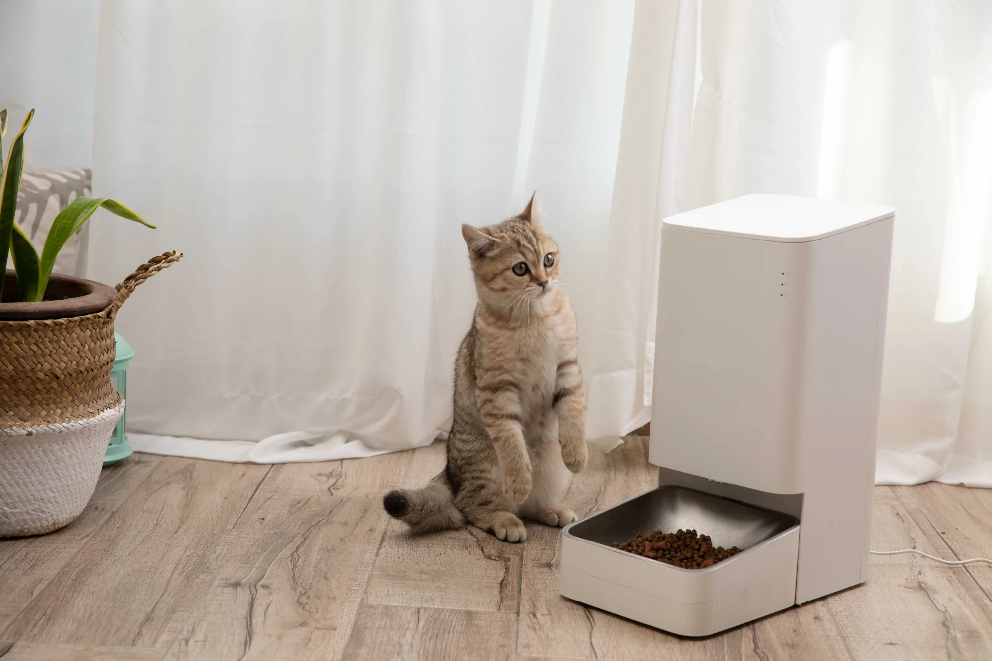 Xiaomi Smart foderautomat - automatisk utfodring av hund och katt