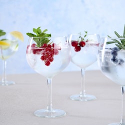 Gin & Tonic Glas 63 cl 8-pack