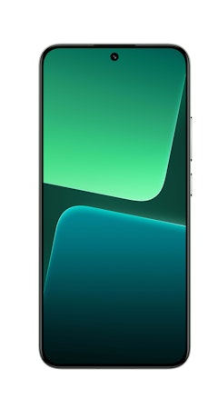 Xiaomi 13 5G 256GB Flora green