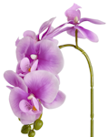DAY Konstgjord Orkidé 40 cm med kruka