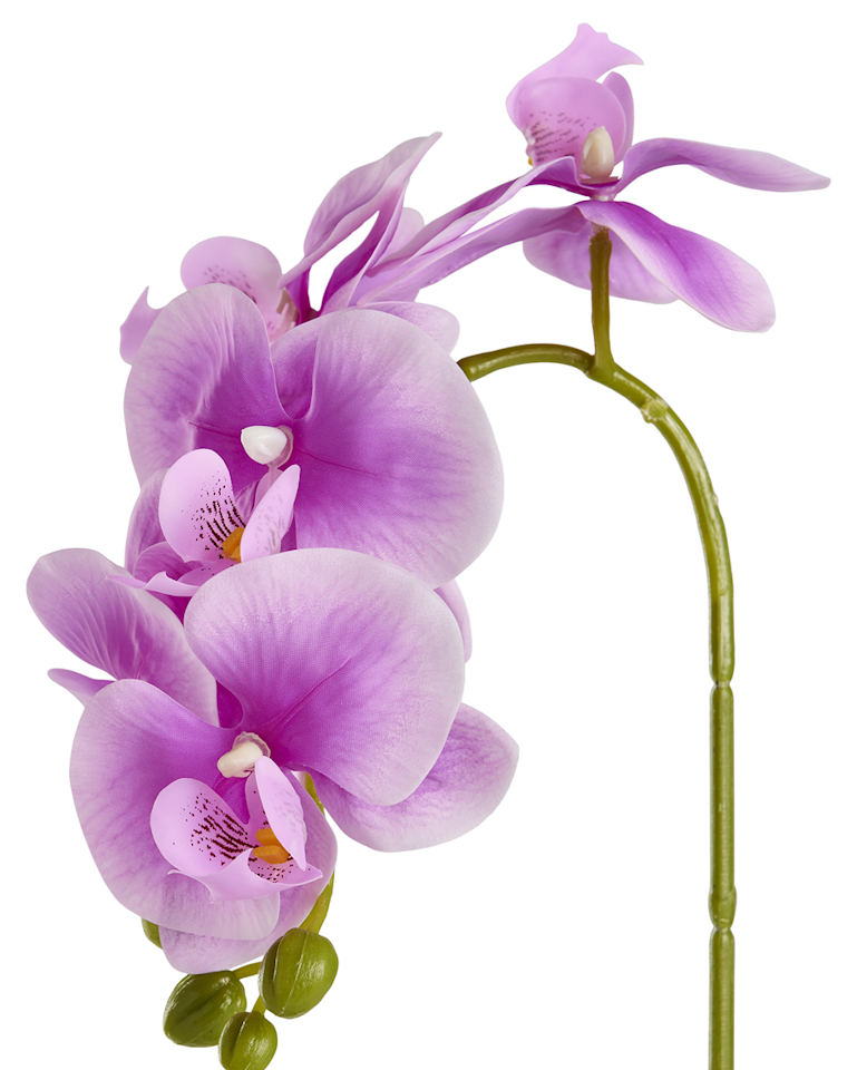 DAY Konstgjord Orkidé 40 cm med kruka