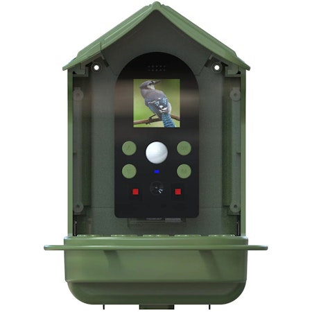 Denver Smart fågelmatare med inbyggd kamera och solceller
