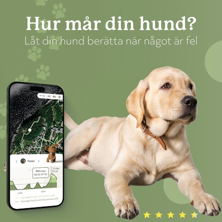Lildog Lildog 2 GPS-Tracker för Hundar