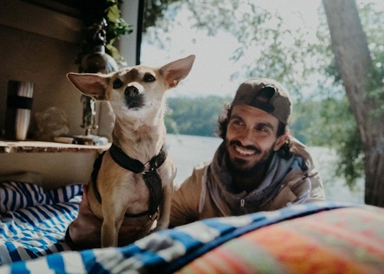 Vegan Dog Food 101: A Beginner's Guide