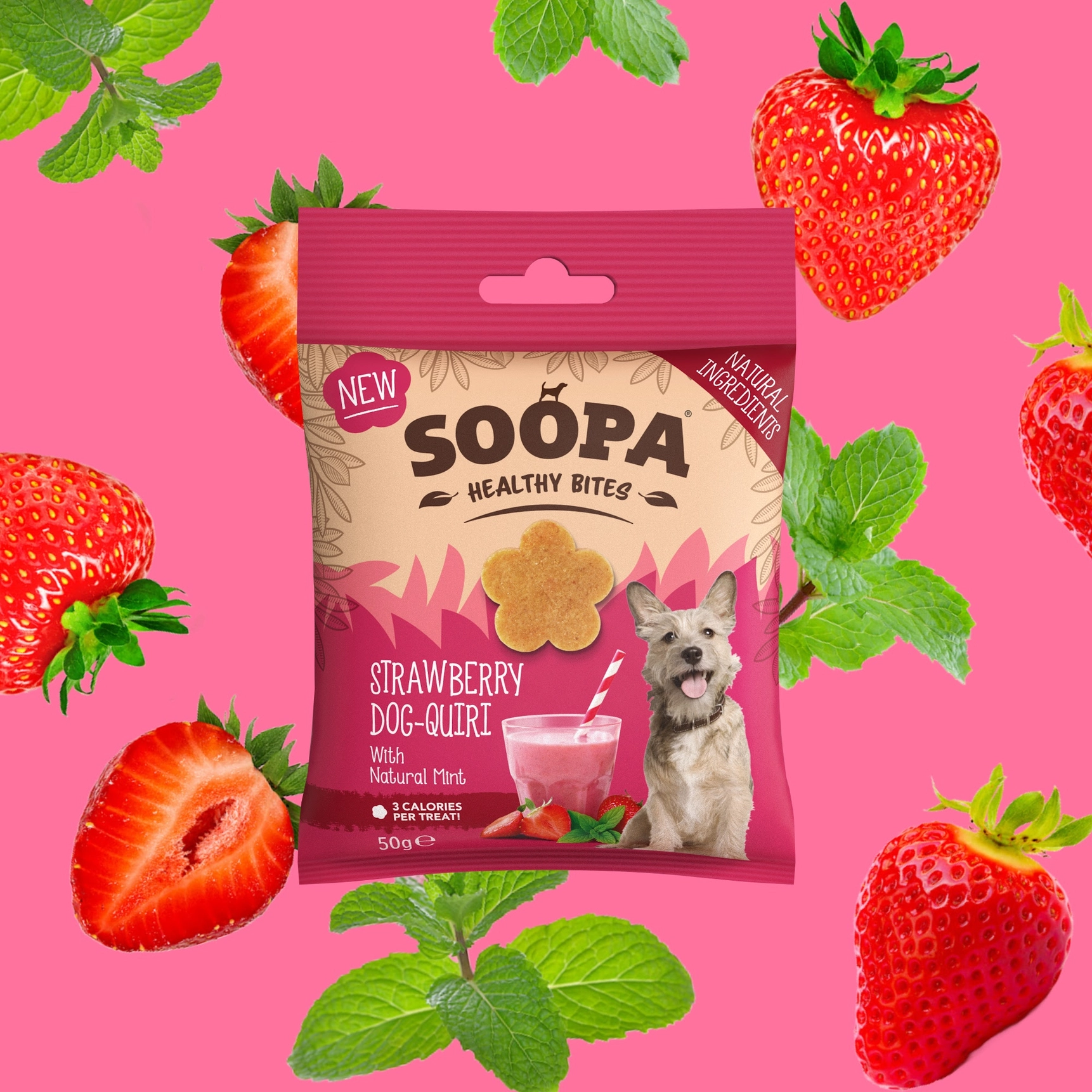 Soopa Bites / Strawberry Dog-Queri 50g