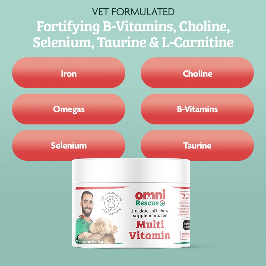Omni Rescue Multivitamin 90g