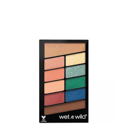 Wet n Wild Color Icon 10 Eyeshadow Palette Stop Playing Safe  E763D