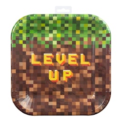 Papperstallrikar Minecraft level up