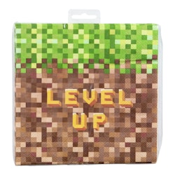 Pappservetter Minecraft Level up