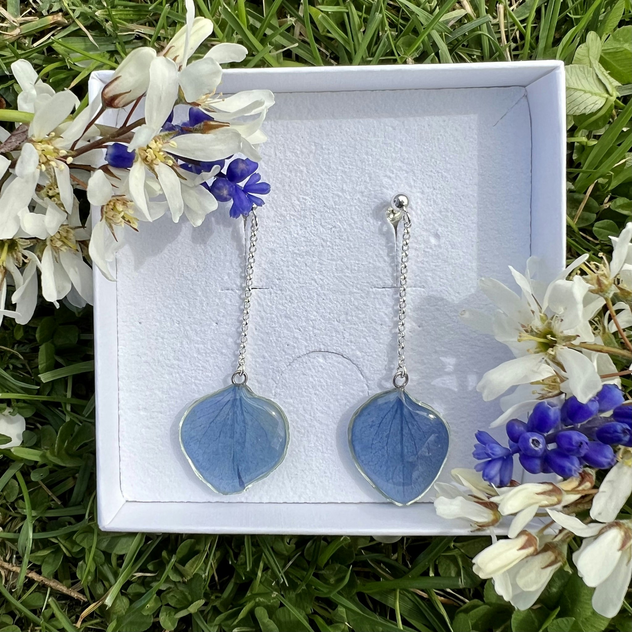 Kronblad av blå hortensia (örhängen)