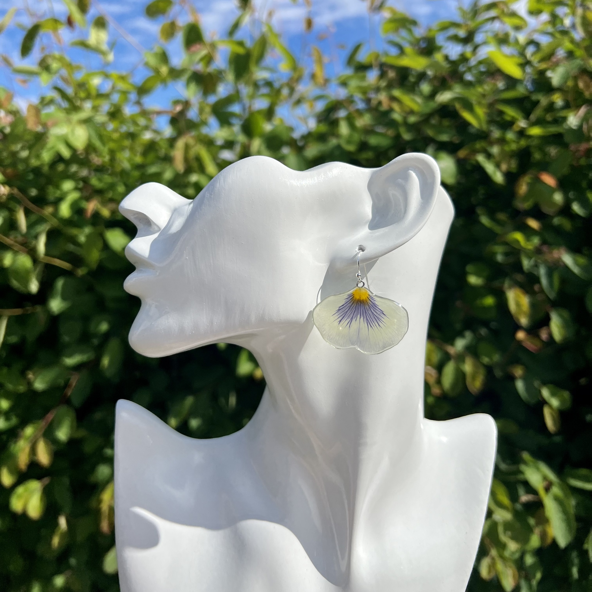 Kronblad av pensé - örhängen