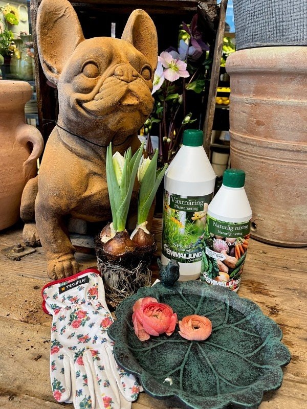 Creative Flowers - Give your home a new look